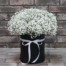 Цветочная композиция из Гипсофила в шляпной коробке в Слободском