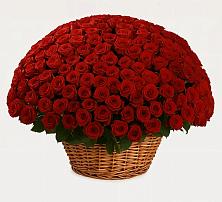 Премиум букет из: Розы #REPLACE_PRED# Слободском